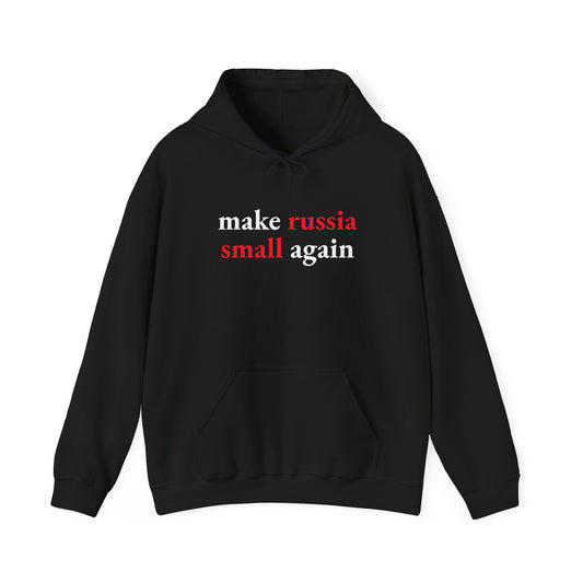 Make Russia Small Again Hoodie | Business Basics