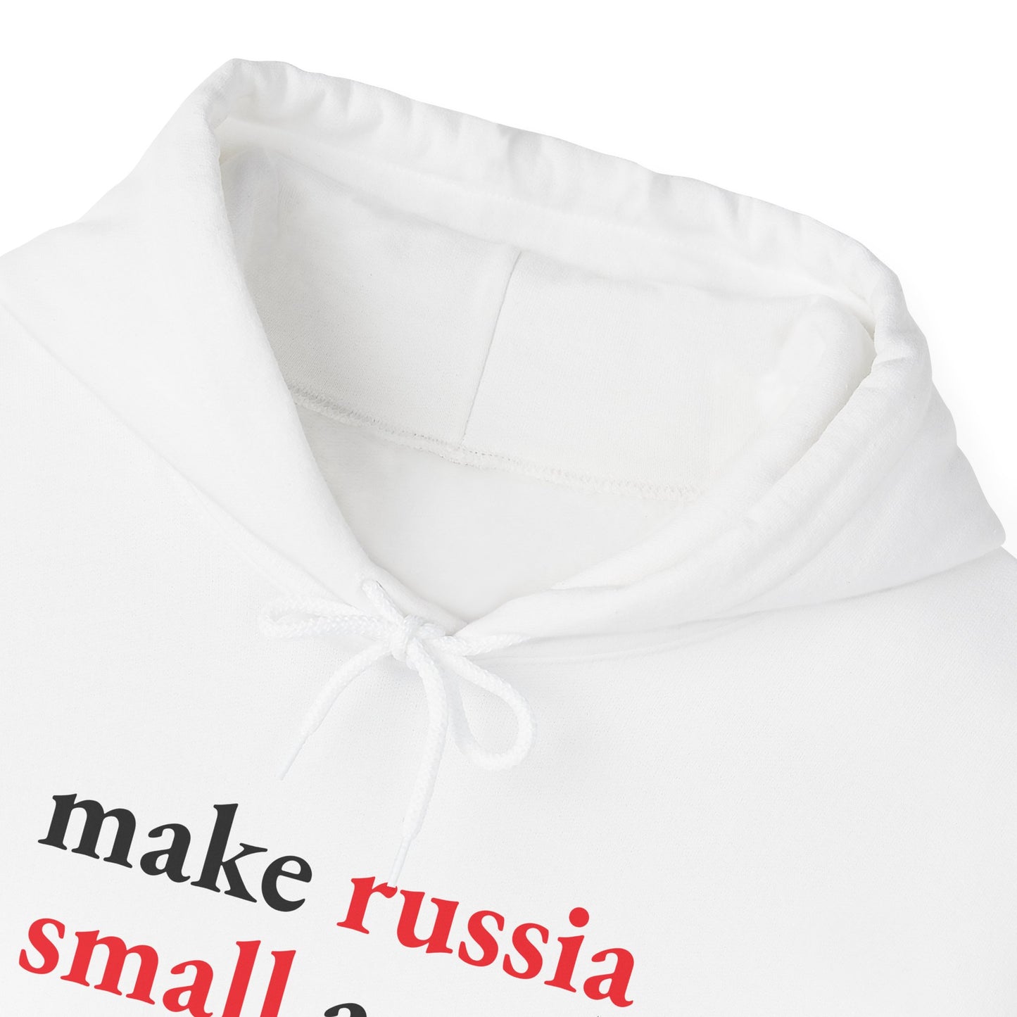 Make Russia Small Again Hoodie | Business Basics
